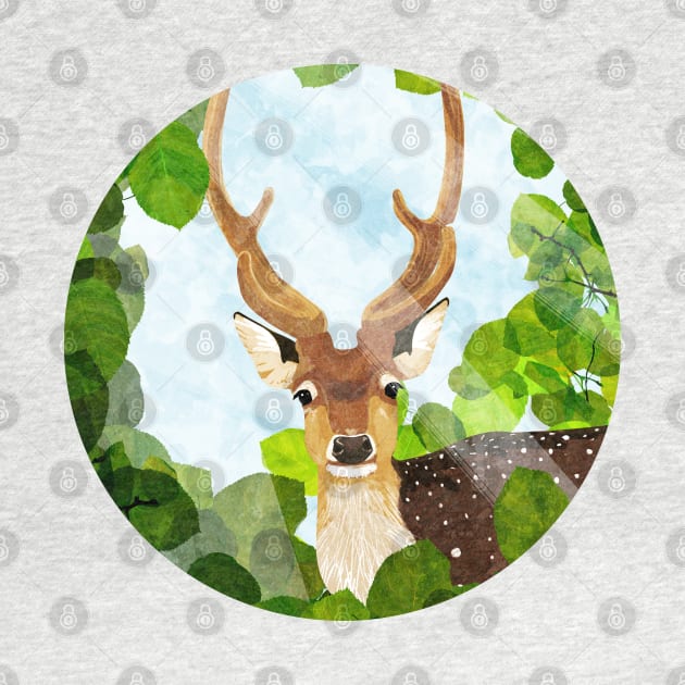 fallow deer by KatherineBlowerDesigns